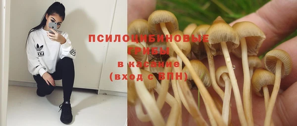spice Покровск