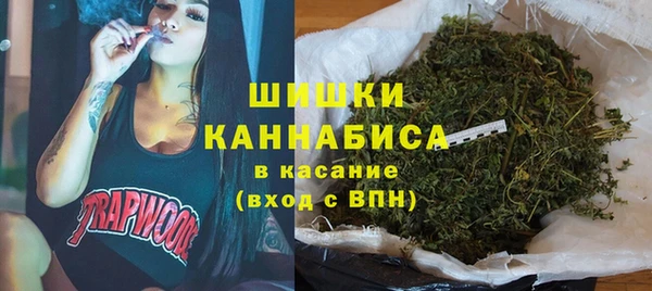 крисы Абдулино