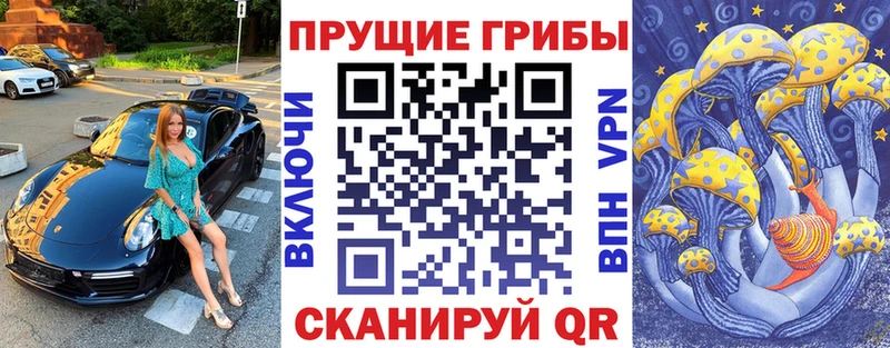 МЕГА ССЫЛКА  Калининград  Псилоцибиновые грибы GOLDEN TEACHER 