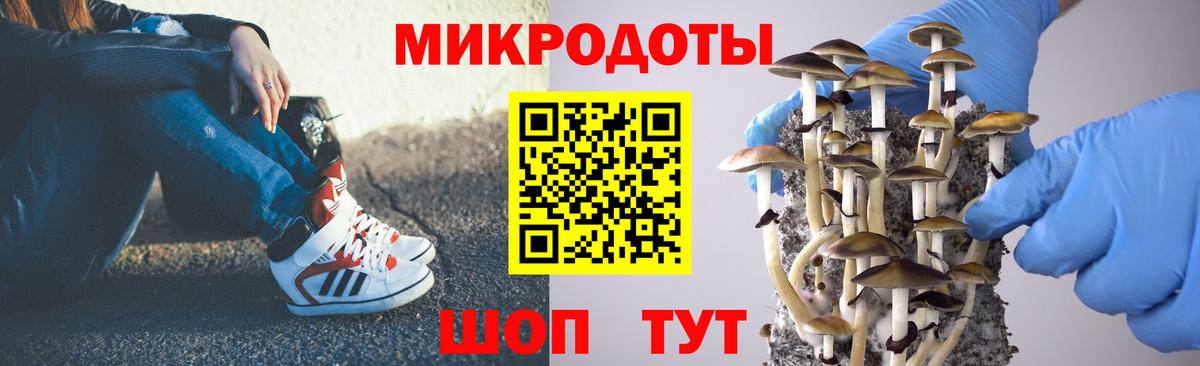 Галлюциногенные грибы Cubensis  купить   Калининград  Вход с VPN 